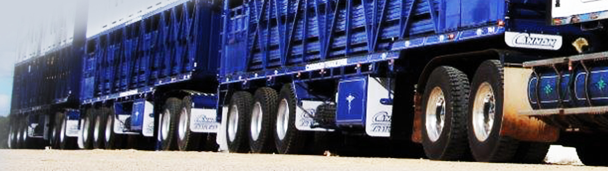 Branded Mudflaps on Cannon Trailer